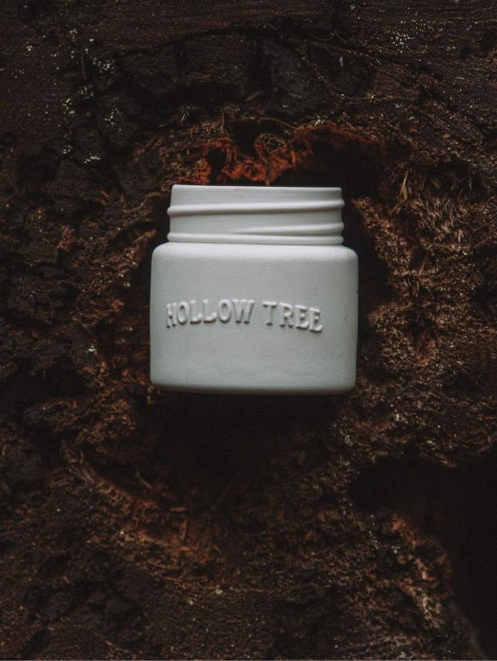 Hollow Tree Candle Co.