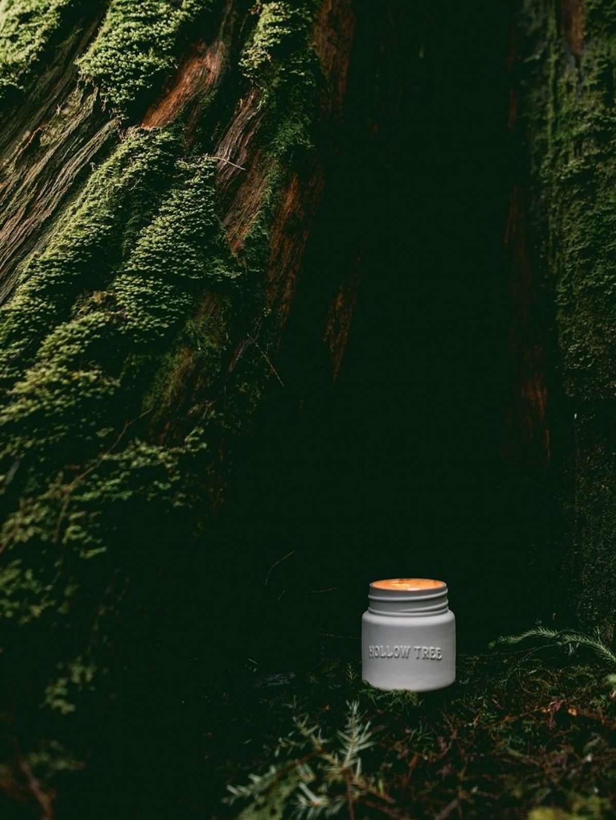 Cathedral Grove Candle